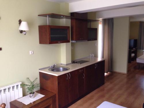 a kitchen with a sink and a tv on the wall at Villa Di Poletta in Dobrich