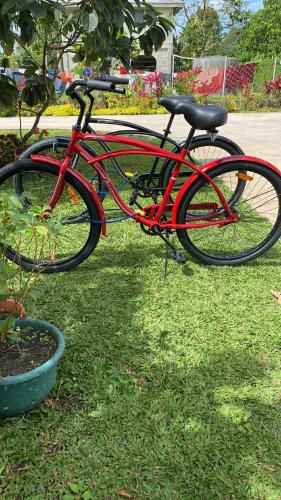 Катание на велосипеде по территории Paea's Guest House или окрестностям