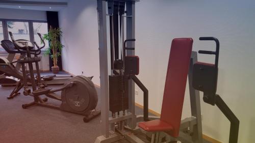 Fitness centrum a/nebo fitness zařízení v ubytování Hotel Scholz