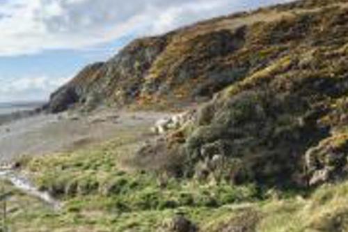 a grassy hill with a dirt road on it at Caravan - Sleeps 4 - Pet friendly - Parking in Newton Stewart