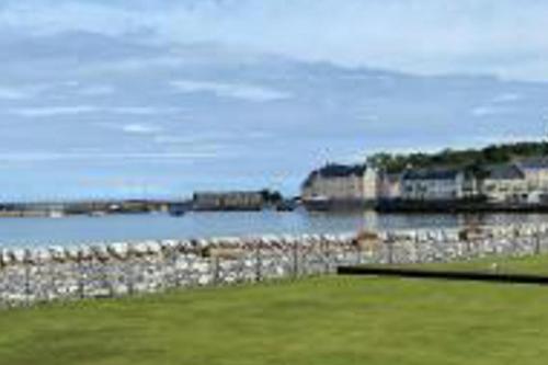 a large body of water with a bunch of birds at Caravan - Sleeps 4 - Pet friendly - Parking in Newton Stewart
