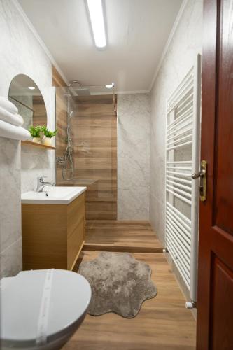 a bathroom with a sink and a toilet at Complex Turistic Darina Sancraiu de Mures in Sîncraiu de Mureş