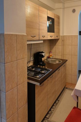 a small kitchen with a stove and a sink at Salcia Riverside Apartment in Galaţi