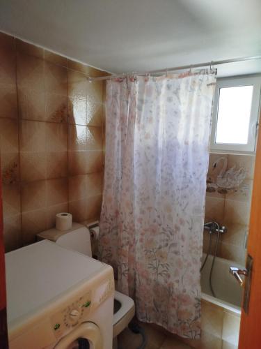 a bathroom with a toilet and a shower curtain at Nereids Apartments-Agavi in Petalidi