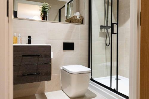 a bathroom with a toilet and a shower at Rock Mill 1 Bed Apartment 32 in Stoney Middleton