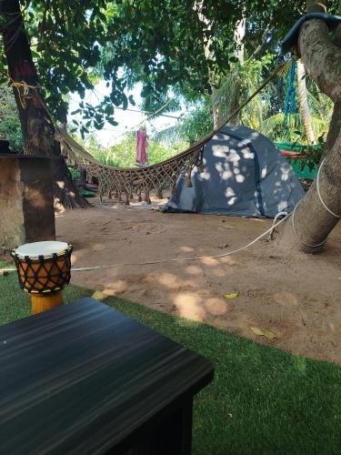 a hammock tied to a tree in a yard at Sanchari hostel in Kuilapayam