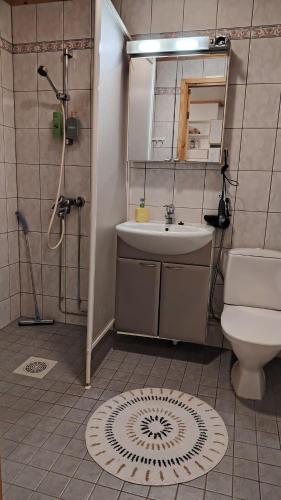 a bathroom with a sink and a toilet and a mirror at Rauhallinen rivitalo in Kilvakkala