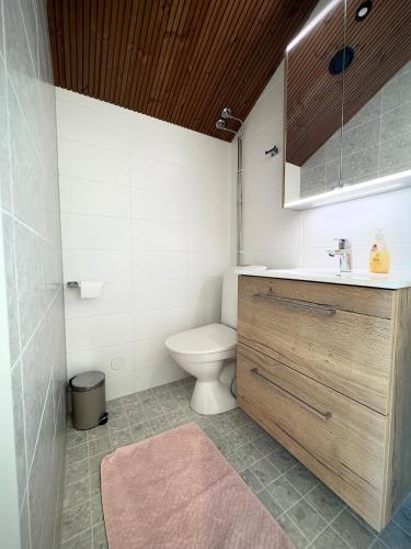 a bathroom with a toilet and a sink at Riihen Vintti in Äkäslompolo