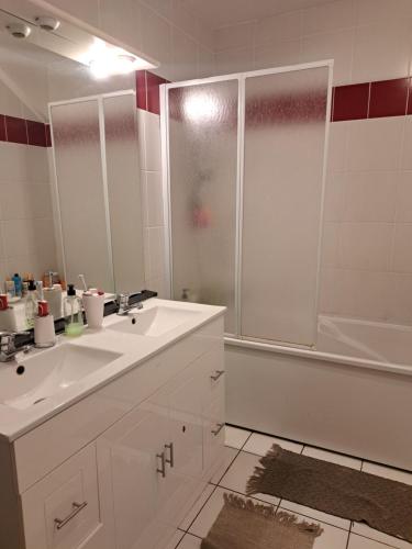 Un baño con lavabo, ducha y bañera. en L'ETANG SALE APPART 2 CHAMBRES, en Étang-Salé