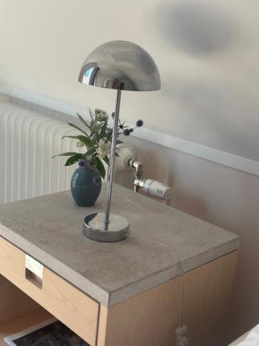 a lamp on a table with a potted plant on it at Resta farm bondgårdshotell in Örsundsbro