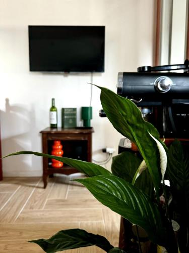 Appartement - Centre historique Montpellier