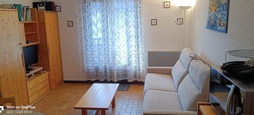 a living room with a couch and a television at Apartment with terrace close to the slopes in Le Monêtier-les-Bains