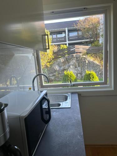 Η κουζίνα ή μικρή κουζίνα στο Cozy room in Lutvann 2