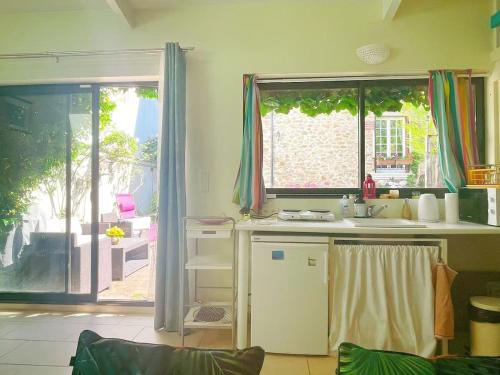 a kitchen with a sink and a refrigerator and a window at Charming riverside Independent Cottage with garden near Paris and Disneyland in Le Perreux-Sur-Marne