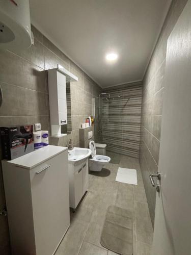 a bathroom with a sink and a toilet at Aria in Veliko Gradište