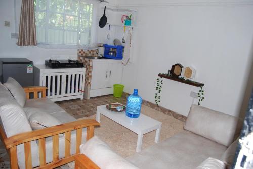 Χώρος καθιστικού στο Shepherd's Court