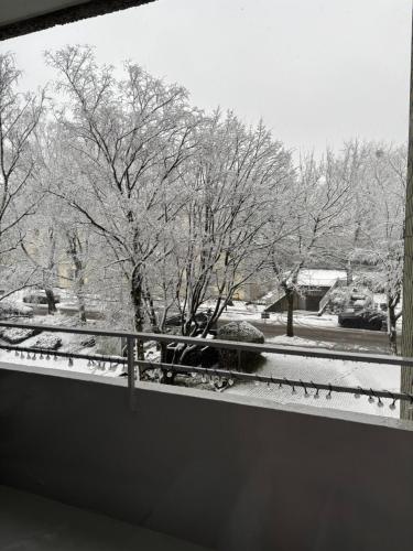 デュッセルドルフにあるModern 5-room apartment in Düsseldorfのギャラリーの写真