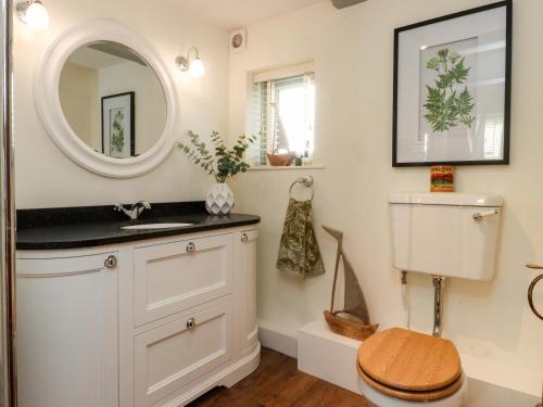 ein Bad mit einem Waschbecken und einem WC mit einem Spiegel in der Unterkunft Gardener's Cottage in Lytham St Annes