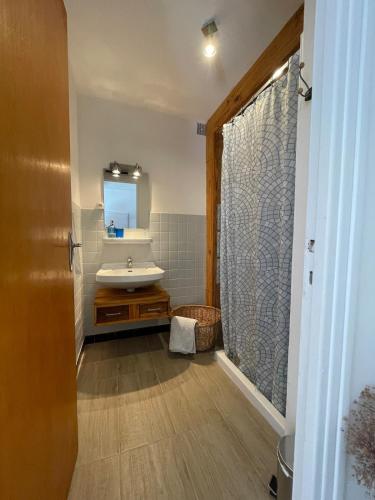a bathroom with a sink and a shower at L'Idylle avec accès toit terrasse in Veynes