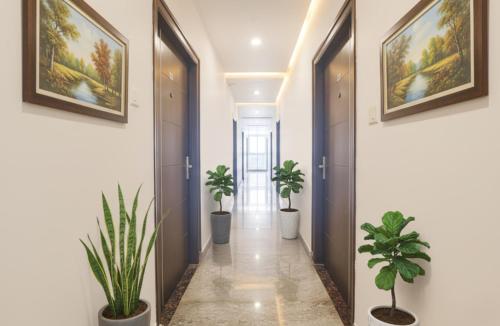 un couloir avec des plantes en pot et des peintures sur les murs dans l'établissement Via Corner Courtyard - Nr Botanical Garden, Kondapur, à Kondapur