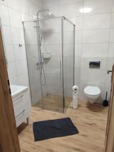 een badkamer met douche en toilet bij Apartamenty JULKA in Szczawnica
