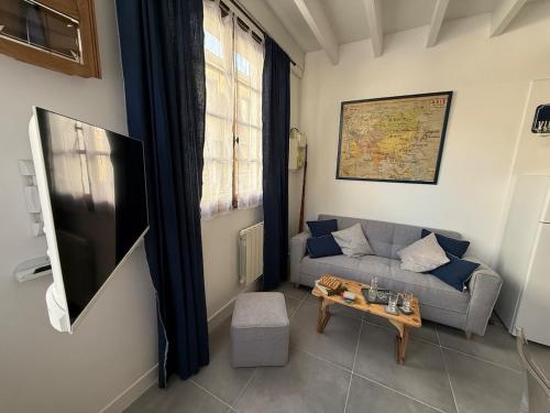 TV a/nebo společenská místnost v ubytování Maison de village au cœur du Marais Poitevin