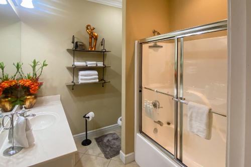 a bathroom with a shower and a sink at Central Terrace Retreat in Hot Springs