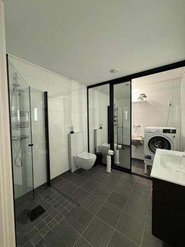 y baño con aseo, lavabo y lavadora. en Modern townhouse in Lofoten, en Leknes