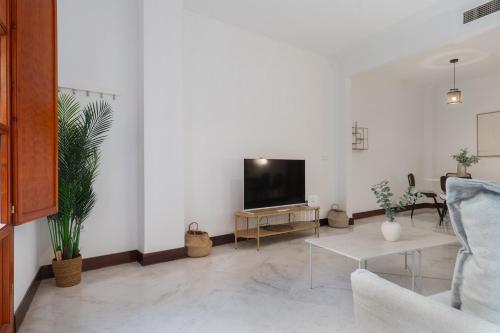 Large Apartment Magdalena Square - Free Parking