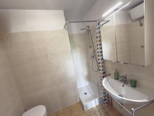 a bathroom with a toilet and a sink and a shower at Viale Volta Authentic Apartment in Florence