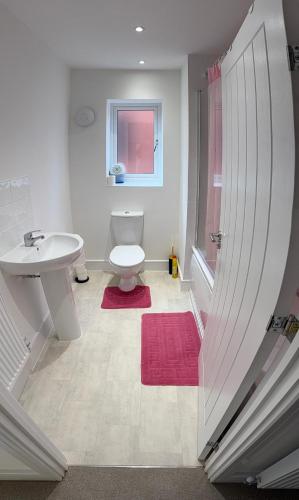 a bathroom with a toilet and a sink at Large Double Room in Longbridge