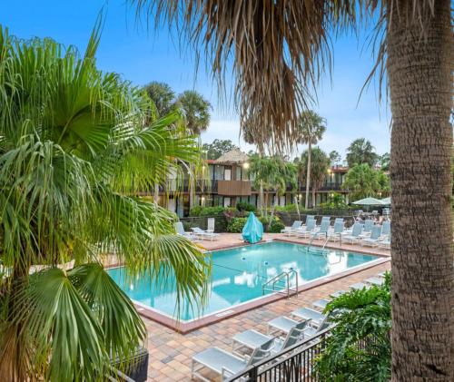 奥兰多Magic Tree Resort的一个带椅子的游泳池,并种植了棕榈树
