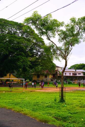 a group of people walking in a field with a tree at David Homes in Cochin
