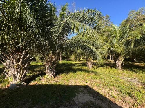 Taman di luar Rancho KurtMel
