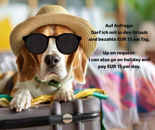 Domácí mazlíčci ubytovaní s hosty v ubytování Apartmenthotel 's Mitterndorf