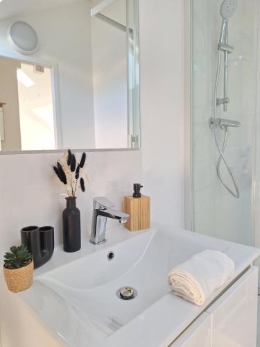 een witte badkamer met een wastafel en een douche bij AquaLodge Harmonia in Aix-les-Bains