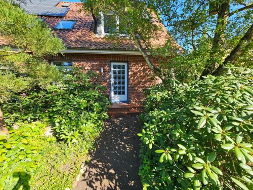 a brick house with a window and a driveway at Ferienwohnung Amselstieg Dr Meier in Bad Bevensen