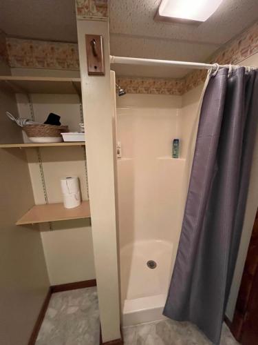 a bathroom with a shower with a shower curtain at Cozy Studio in Enfield in Enfield