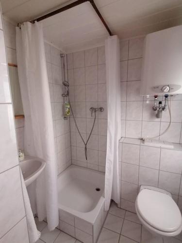 a white bathroom with a shower and a toilet at Häuschen in grüner Idylle in Bad Gottleuba