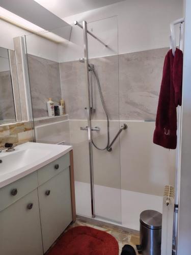 a bathroom with a shower and a sink at "Les Antilles " Héhergement chez l'habitant in Marseille