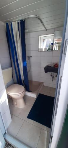 ein kleines Badezimmer mit Toilette und Waschbecken in der Unterkunft Ferhaus Albertsdorf am Dorfteich  Wohnung 4 in Teschendorf