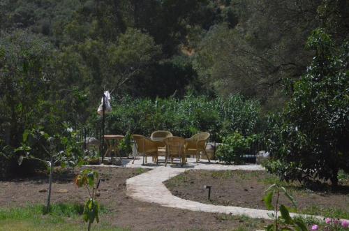 Photo de la galerie de l'établissement Casa museo junto al río, à Cortes de la Frontera