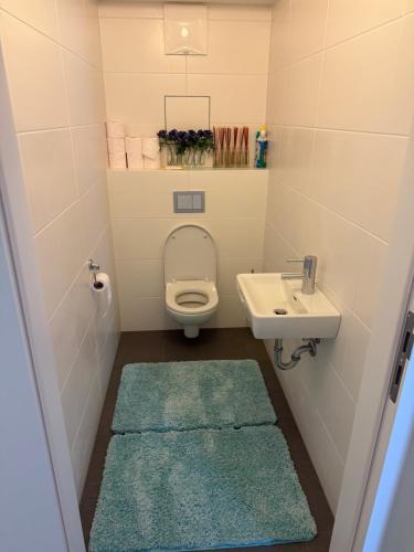 ウィーンにあるGemütliche Neubauwohnung mit Loggia perfekt für Weihnachten in Wienのトイレと洗面台のある小さなバスルーム