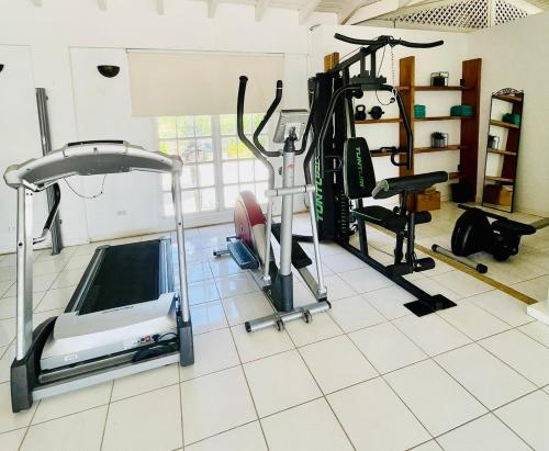 Fitness centrum a/nebo fitness zařízení v ubytování La Pura Vista Resort