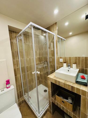 ein Badezimmer mit Dusche, Waschbecken und Toilette in der Unterkunft Auréa - Elégant Duplex Rennes in Rennes