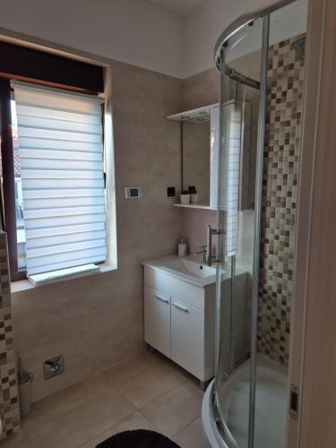 a bathroom with a glass shower and a sink at Apartmani Nika in Rijeka