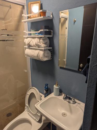 a bathroom with a sink and a toilet and a mirror at Departamento cerca del Zocalo y aeropuerto in Mexico City