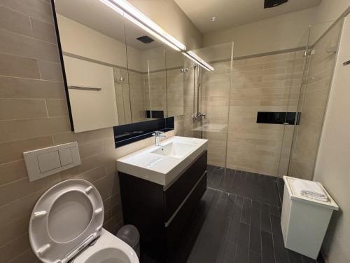 チューリッヒにあるStylish 1BR in the city center - Baron 25の洗面台、トイレ、鏡のあるバスルーム