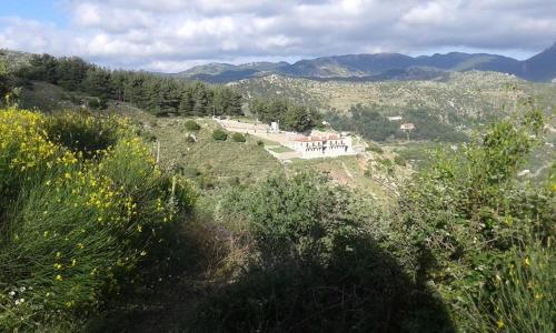 a house on top of a hill with trees at Elova in Zátouna
