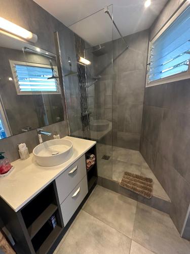 a bathroom with a sink and a shower at Studio Climatisé avec Réservoir d'eau in Saint-François